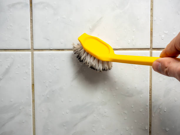 Best Residential Mold Remediation in Cleveland, TX