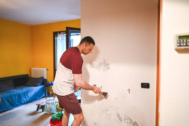 Cleveland, TX Mold Remediation Company