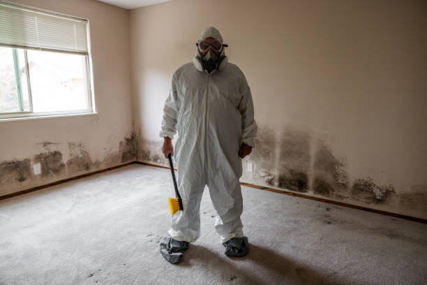 Best Bathroom Mold Remediation in Cleveland, TX